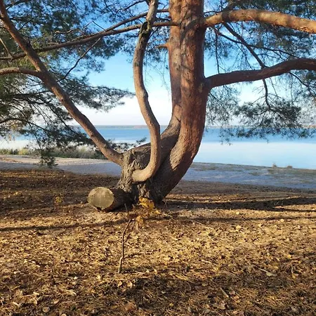 Casa vacanze Water Geierswalde